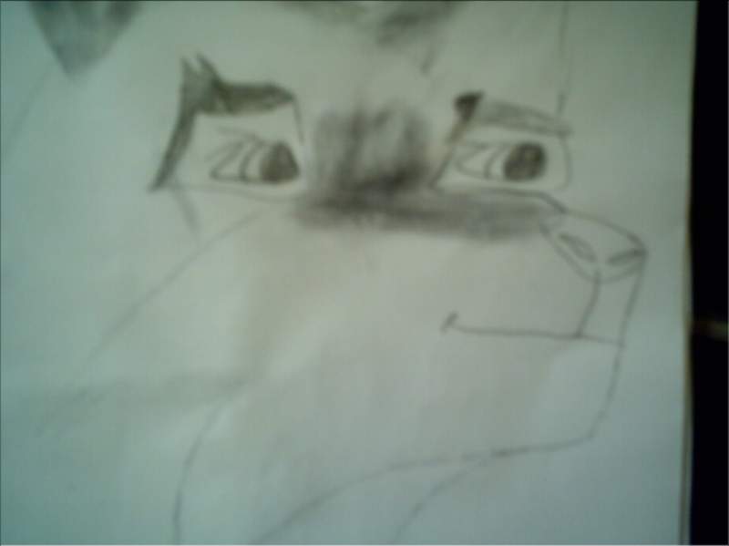 this isent my best drawing...=p
