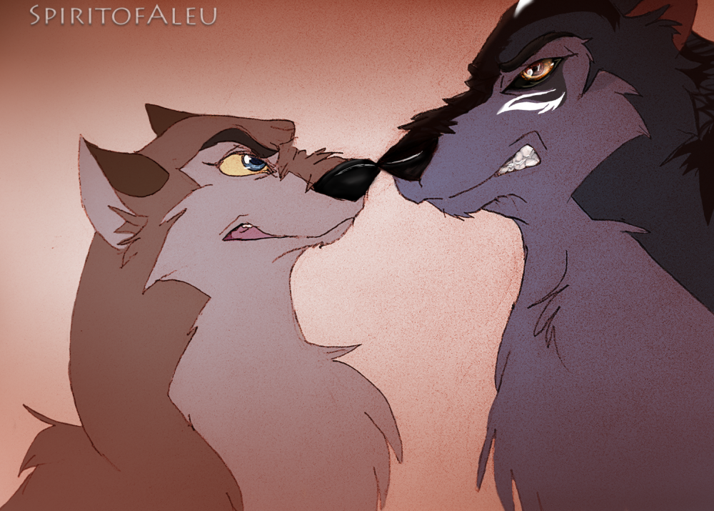 Wolf Dog VS Wolf