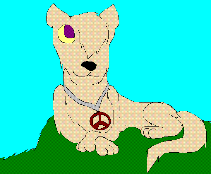 Hippie