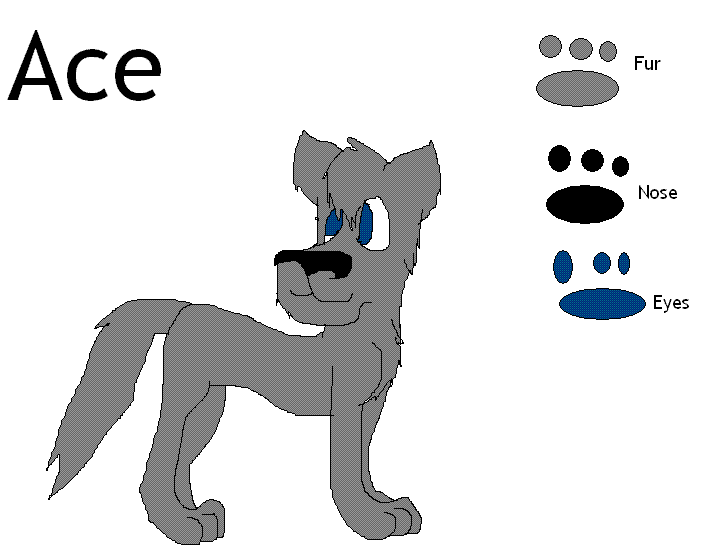 Ace sheet