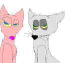 Wolf couple