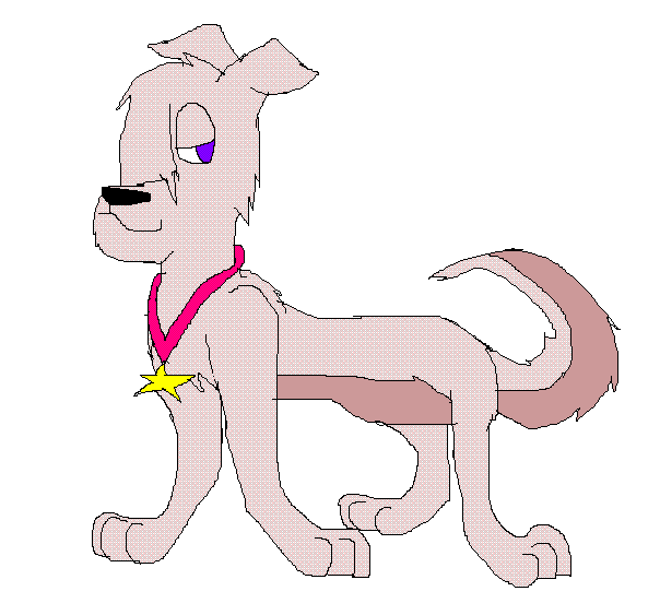 Basha