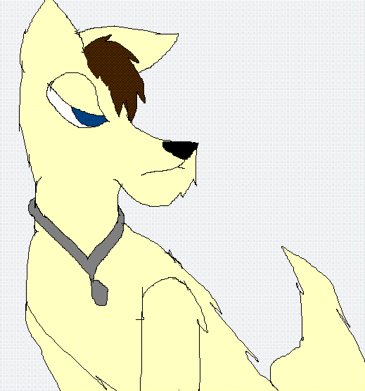Wolf Dallas