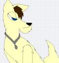 Wolf Dallas