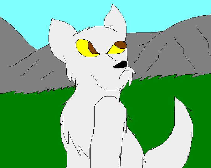 Wolf