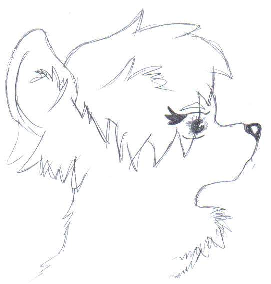 another old scetch