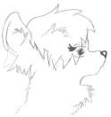 another old scetch