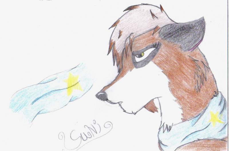 Suni
