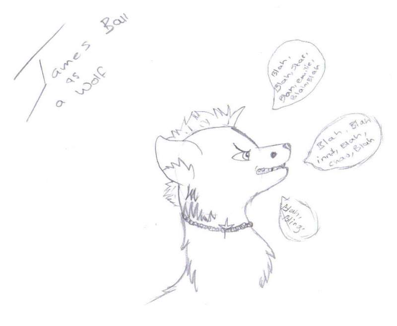 James B doodle