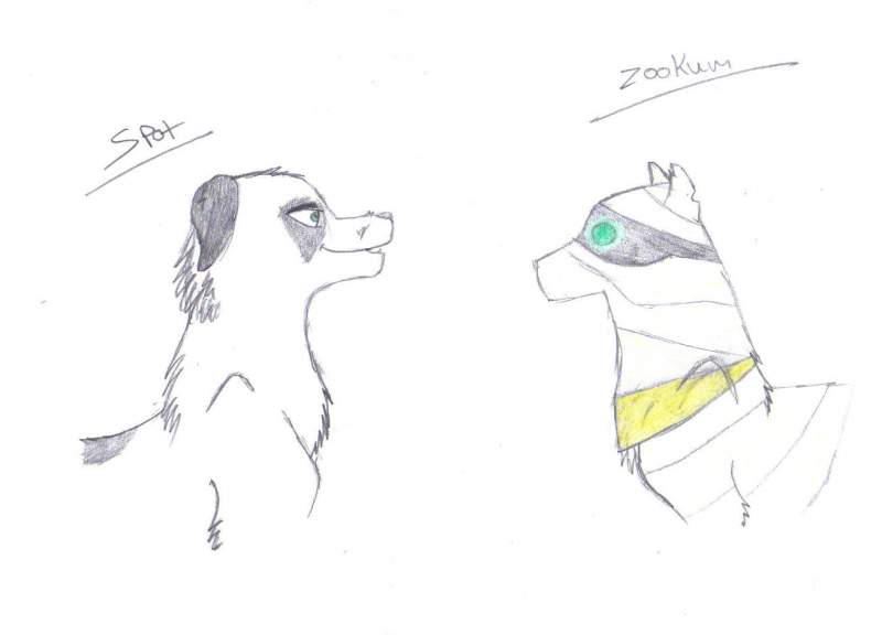 spot and zookum