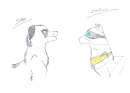 spot and zookum