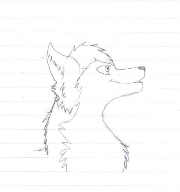 random...