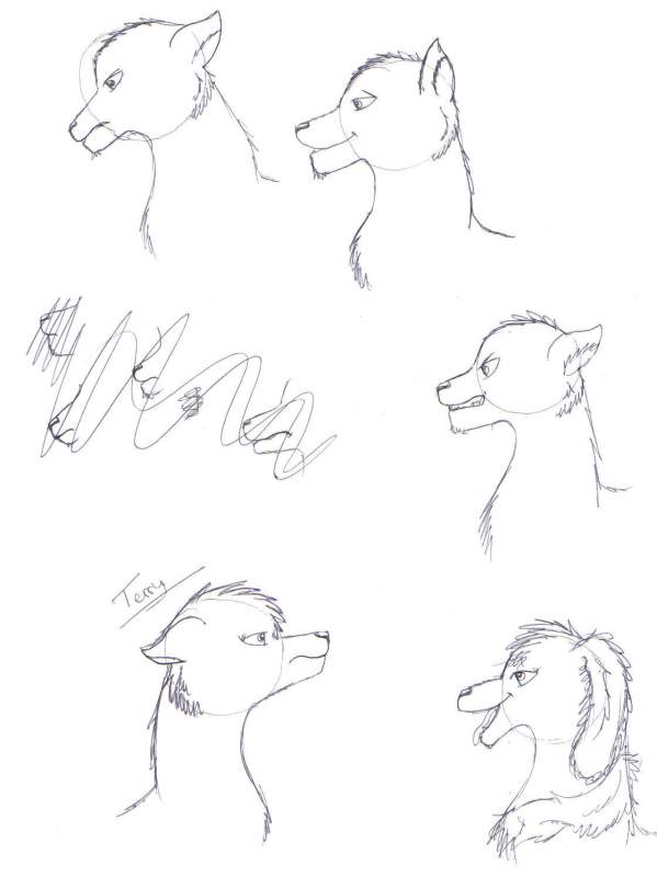 random...again