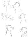 random...again