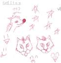 random scatch
