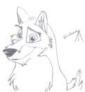 Balto