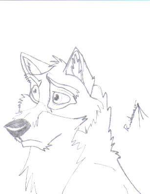 sad balto
