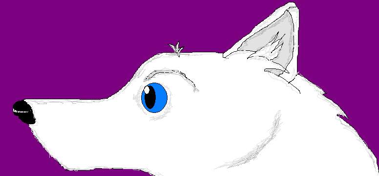 my char smo