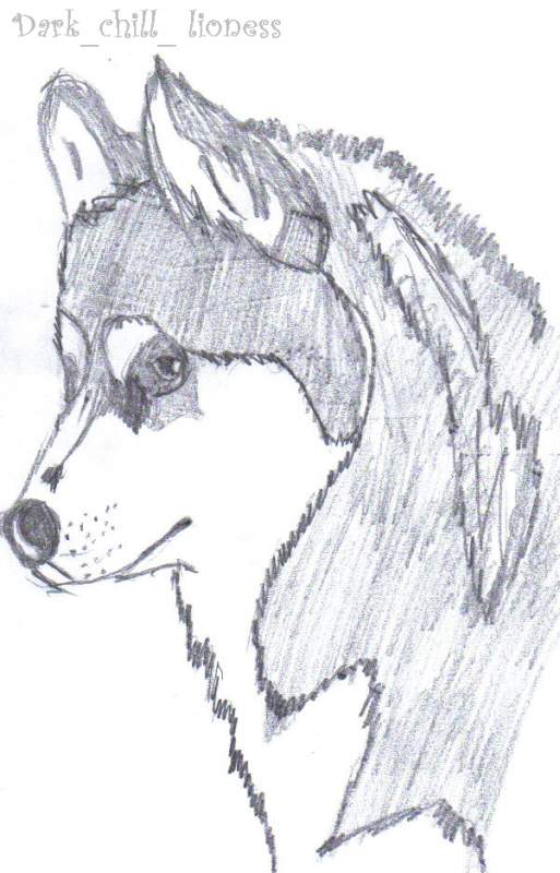 another realistic husky