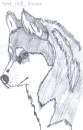 another realistic husky