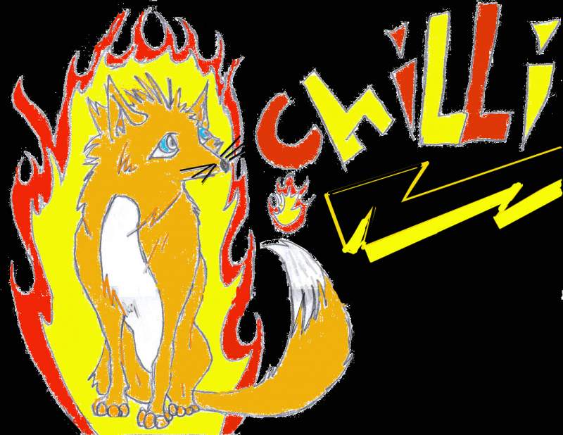 Chilli