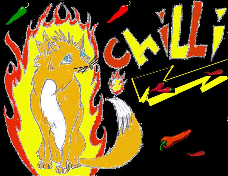 Chilli