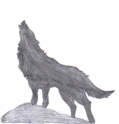 A wolf