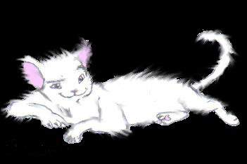 a smug looking cat