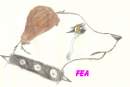 Fea