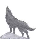 A wolf