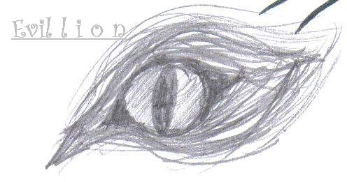 a wolf eye
