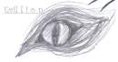 a wolf eye