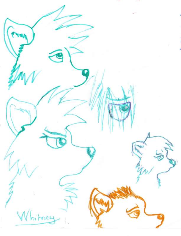 Doodle 1