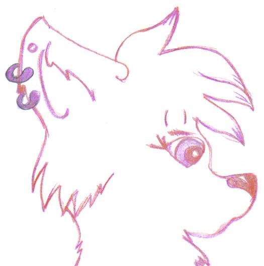 Doodle 2