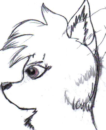 Doodle 3