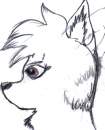 Doodle 3