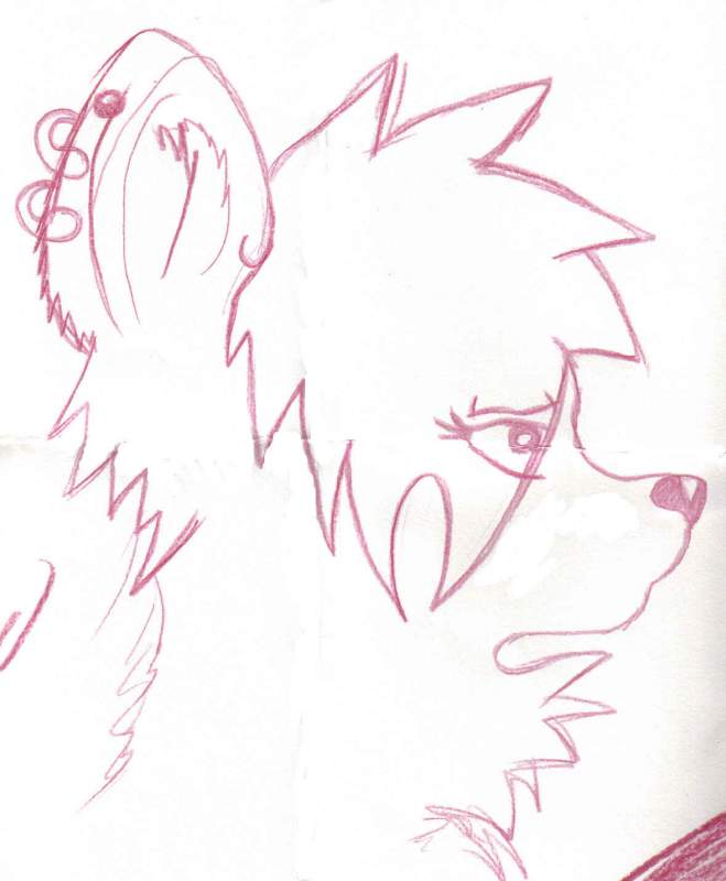 Doodle