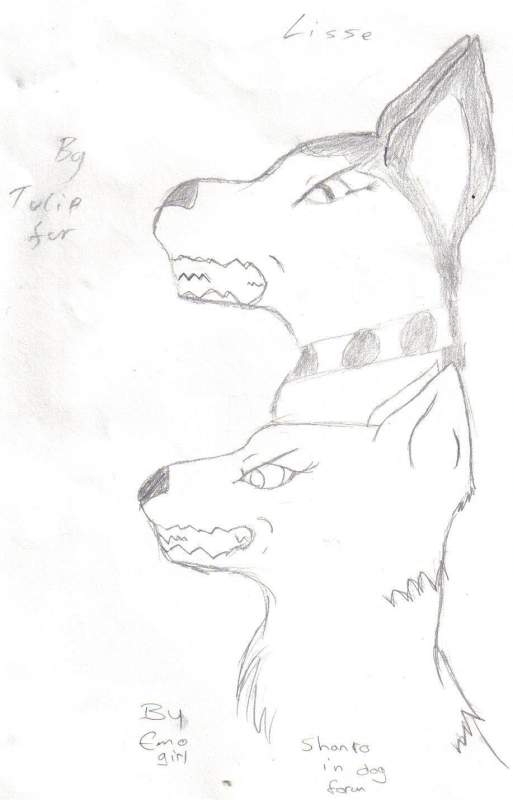 i drew the bottom one