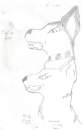 i drew the bottom one