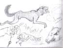 Werewolf