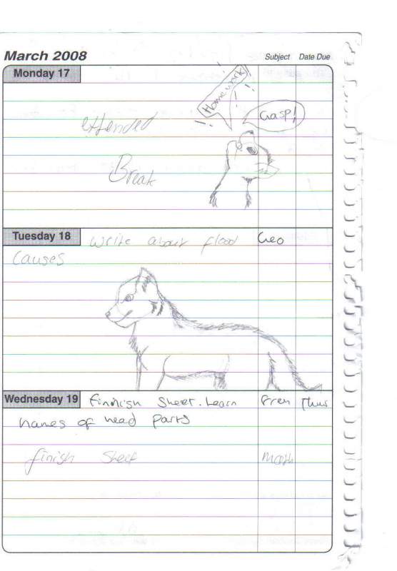 Home work doodles
