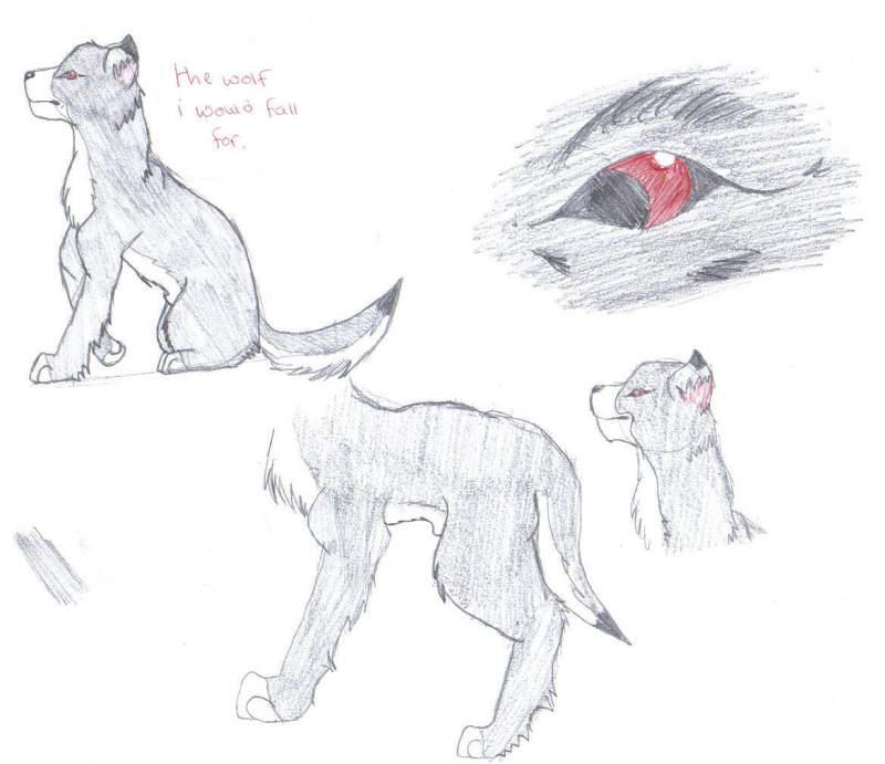Wolf i would fall for