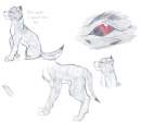 Wolf i would fall for