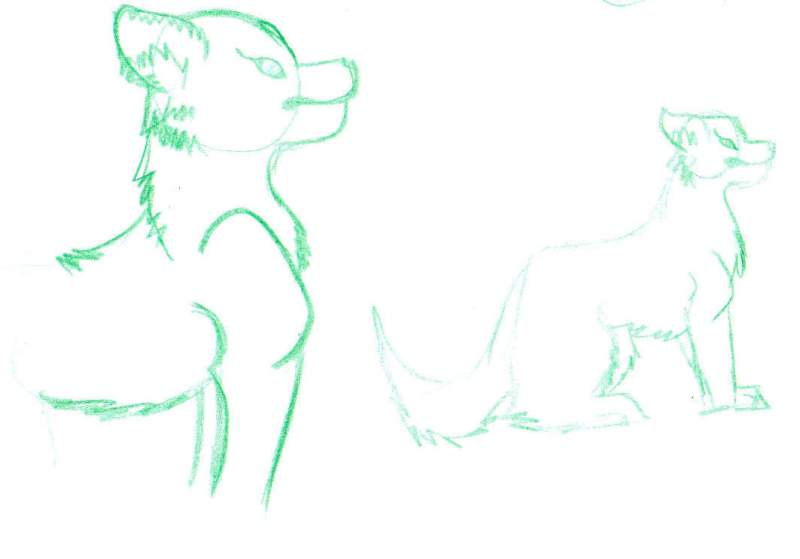 green scetch wolf