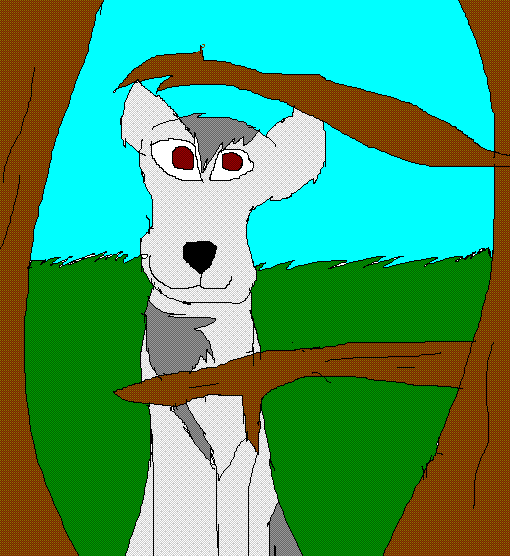 woods