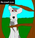 woods