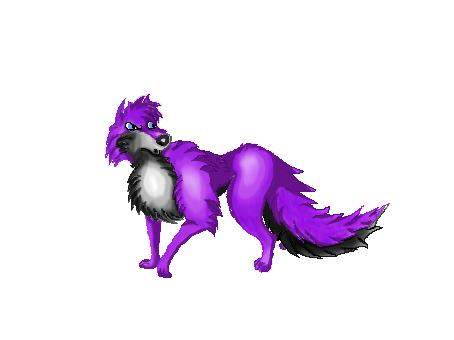 Mr. Purple