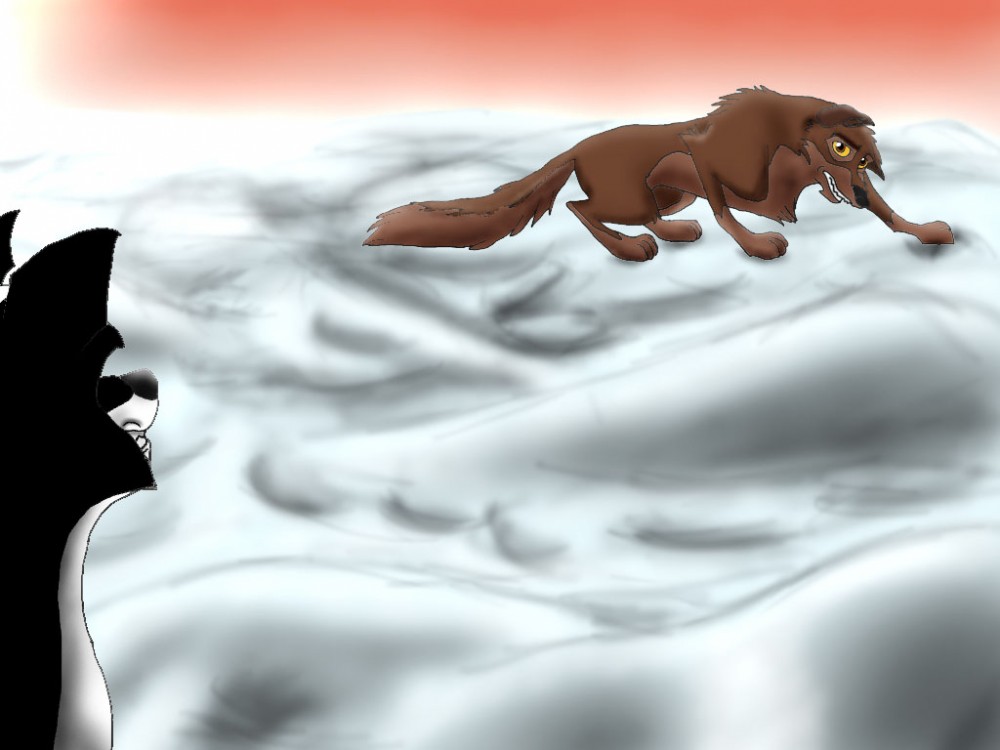 Steele & Balto