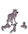 Star and his pups
