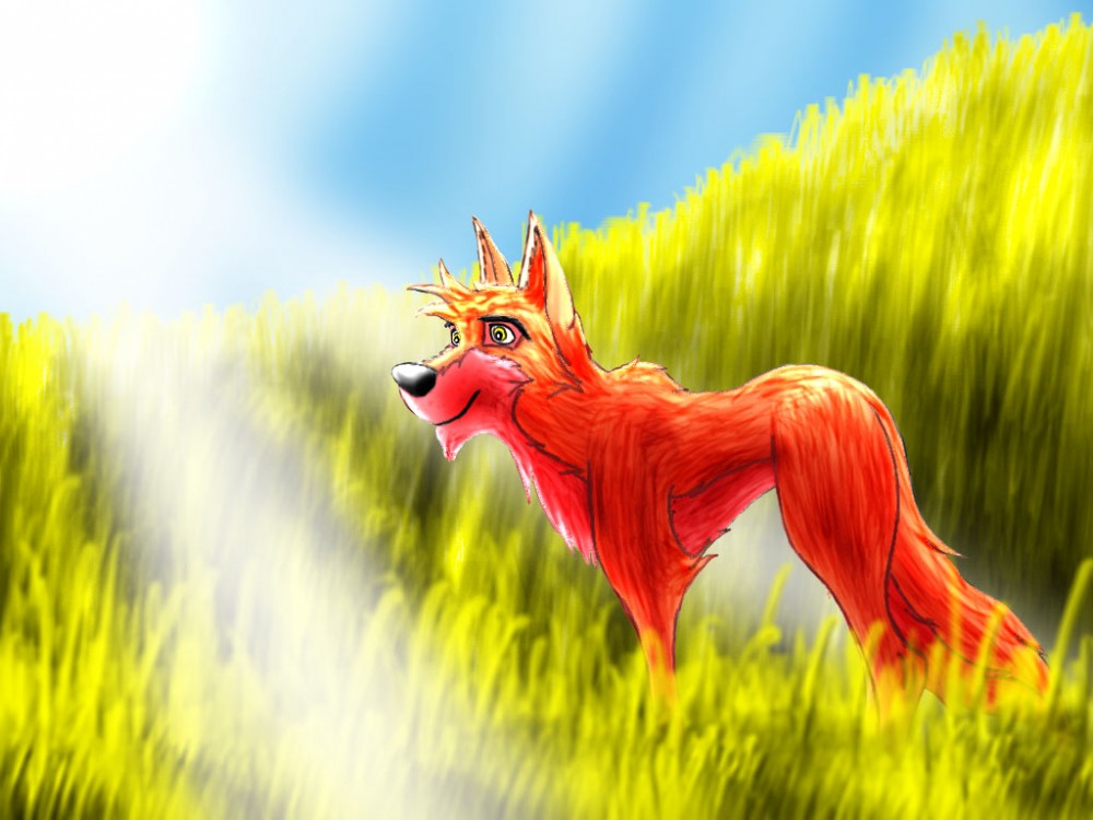 Meadow Wolf